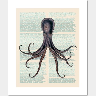 Cephalopod Fashion Posters and Art